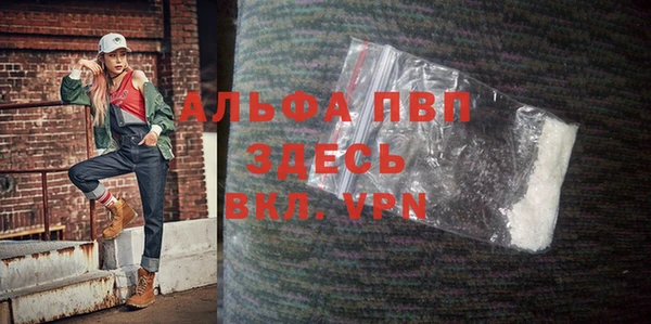 не бодяженный Ладушкин