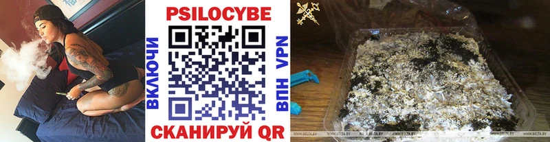 купить закладку  Нягань  blacksprut сайт  Галлюциногенные грибы Psilocybine cubensis 