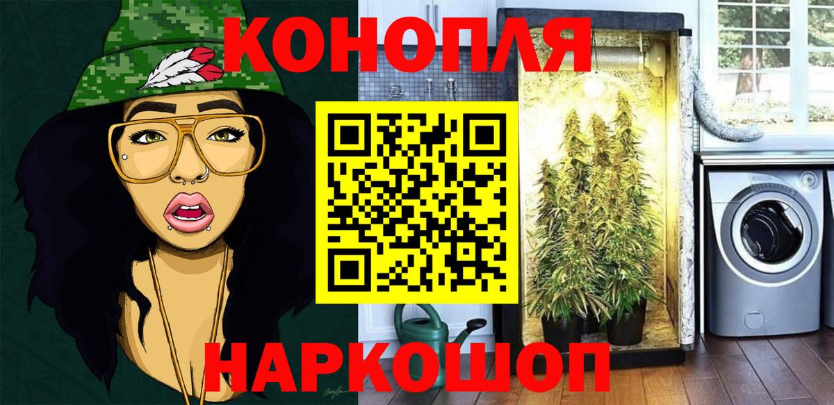 Конопля сатива Нягань